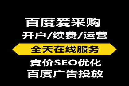 SEM代运营服务公司成功案例解析